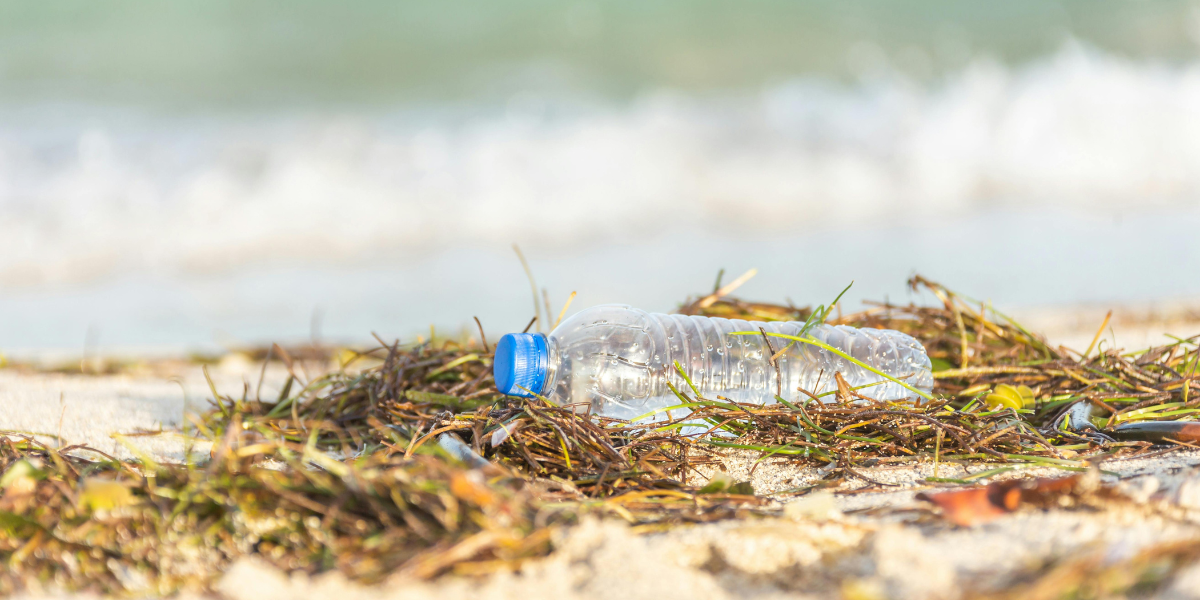 Plastic bottle on a beach mable blog