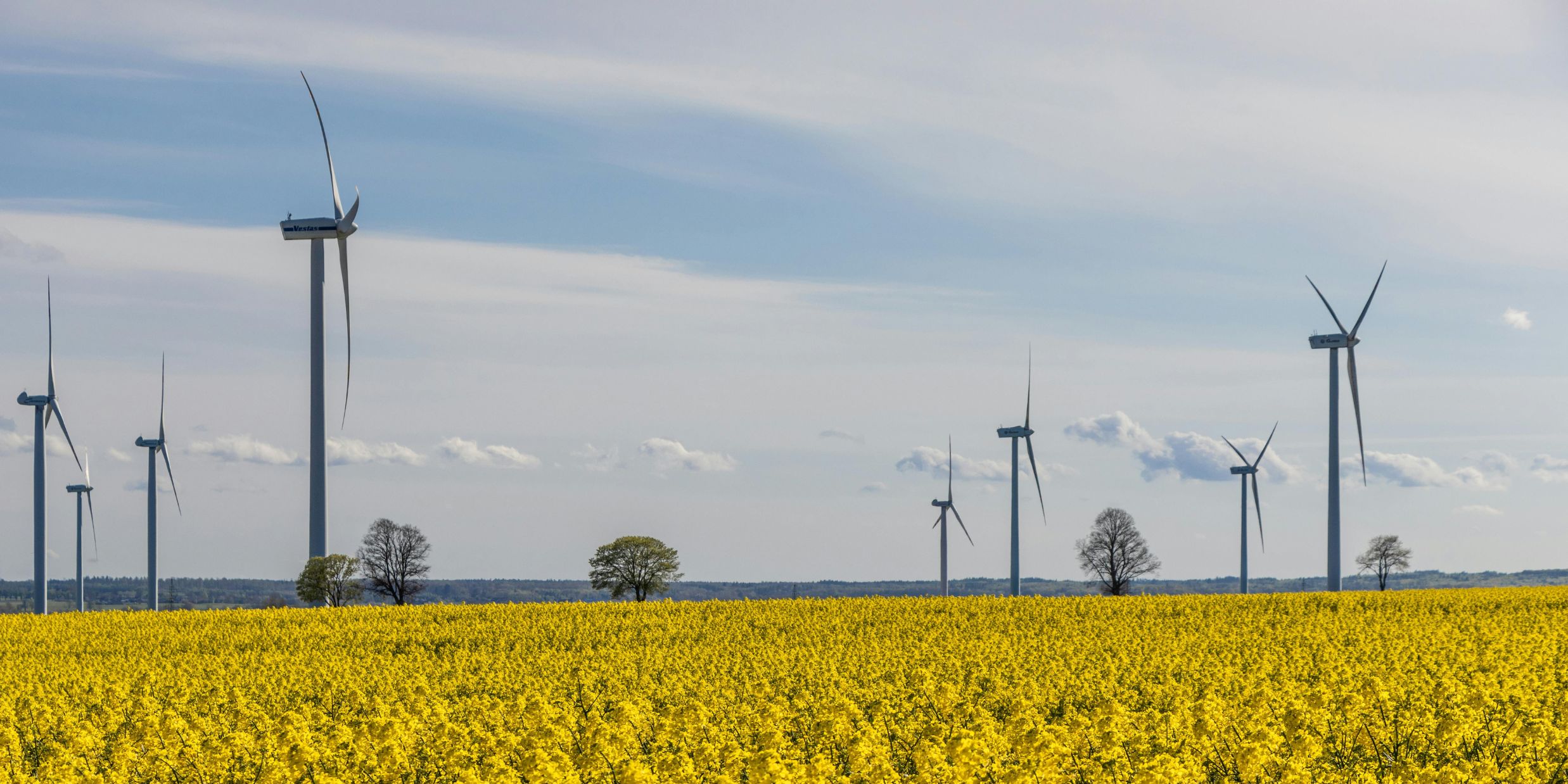 renewable energy in the U.S