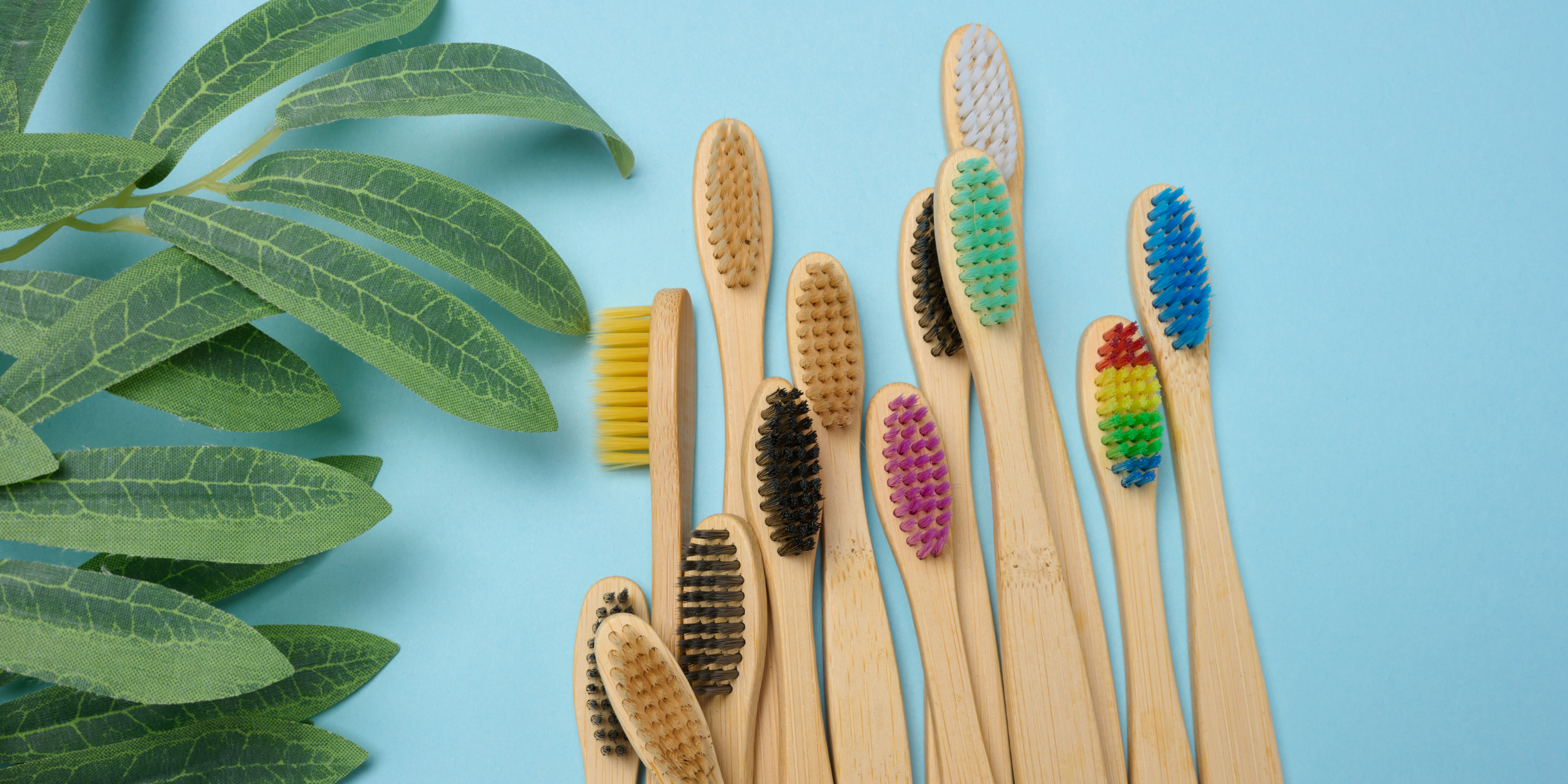 Are Castor Bean Oil Bristles Biodegradable