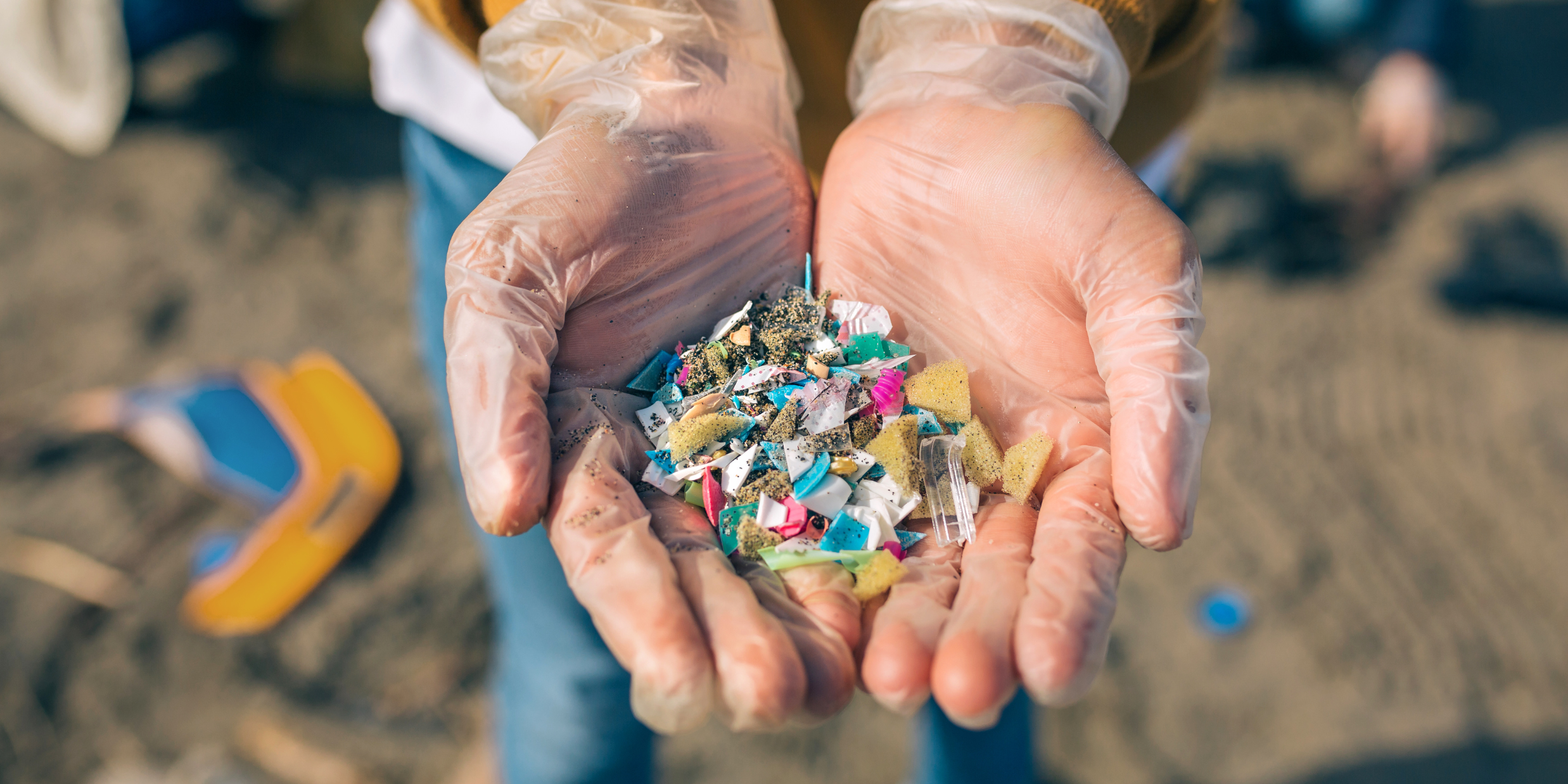 Where Have Microplastics Been Found