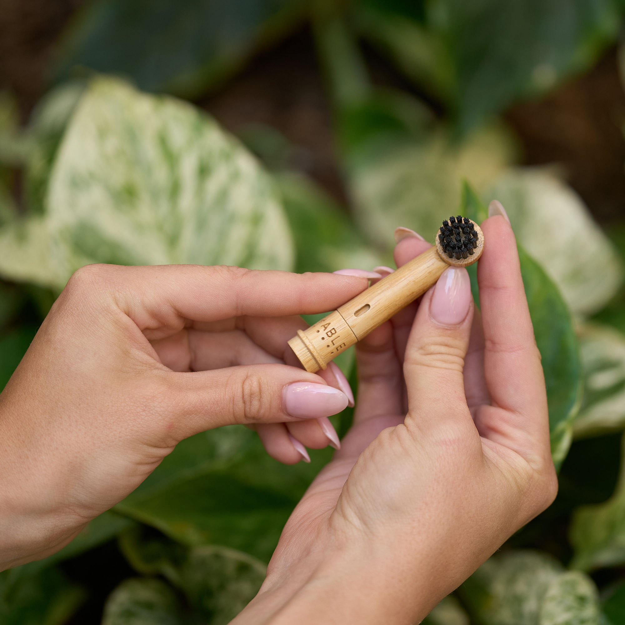Hand holding a MABLE bamboo toothbrush head compatible with Oral-B models on a natural green background