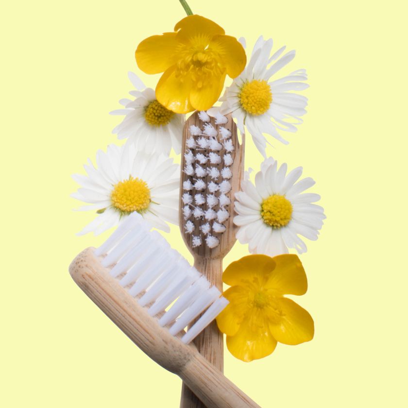 Mable bamboo toothbrush, non-toxic toothbrush, BPA-free bristles, Nono-toxic paint, Nono-toxic toothbrush, natural toothbrush, safe, toothbrush, chemical-free toothbrush, bamboo brush, natural products, natural bathroom products