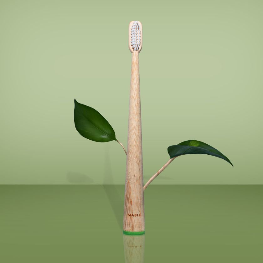 MABLE Bamboo Toothbrush, FSC certified bamboo, sustainable bamboo toothbrush, eco-friendly bamboo toothbrush, bamboo brush, sustainably sourced bamboo, eco toothbrush