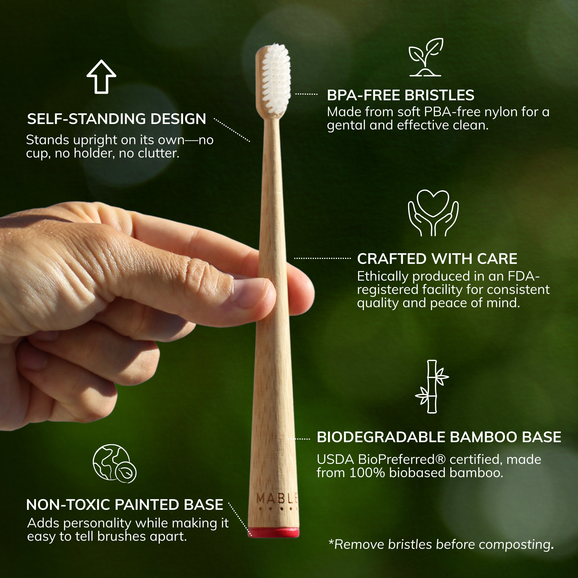 Hand holding a MABLE bamboo toothbrush with features highlighted on a green background, the best self-stending brush, biodegradable bamboo base, non-toxic paint, BPA-free bristels
