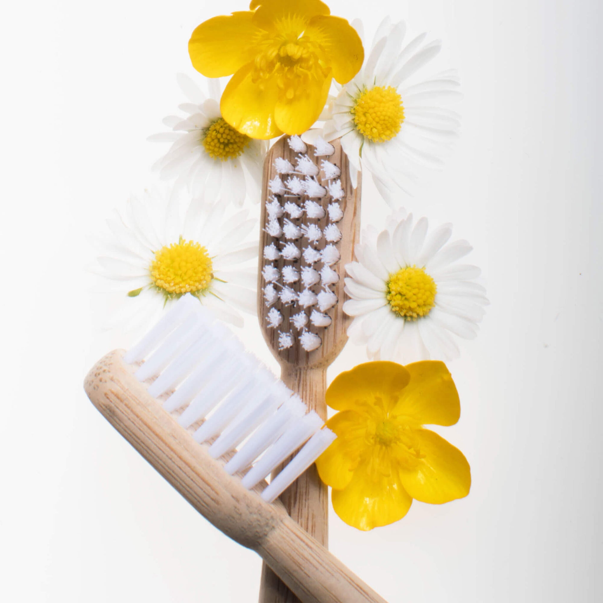 MABLE® Bamboo toothbrush 2 pack: Non-toxic and BPA-free Nylon® bristles. Bamboo handle is compostable.