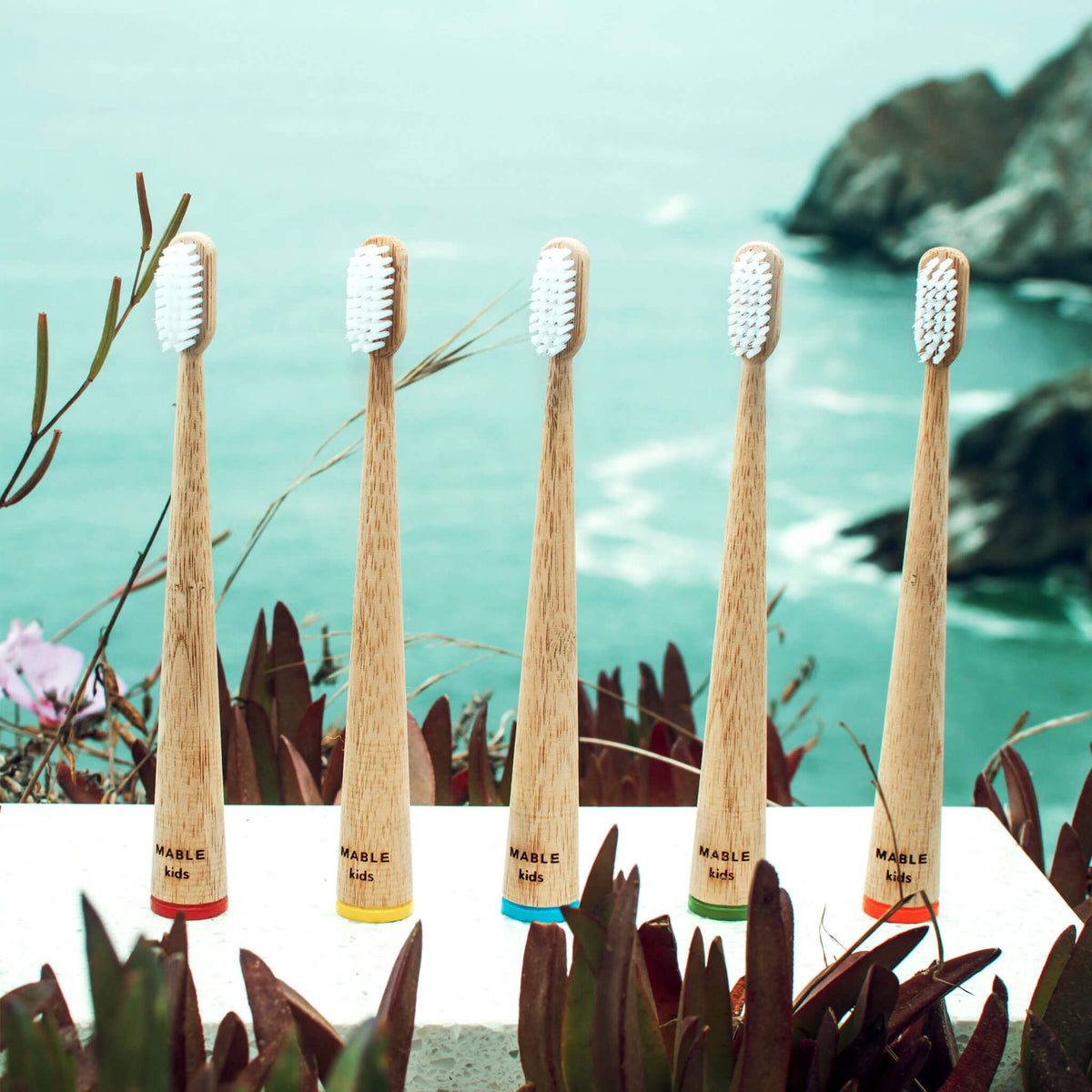 Four MABLE bamboo toothbrushes on a coastal cliff