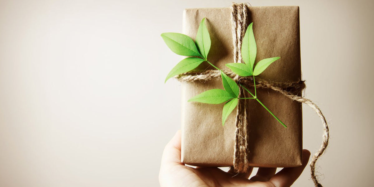 How to Accept Eco-unfriendly Gifts with Grace