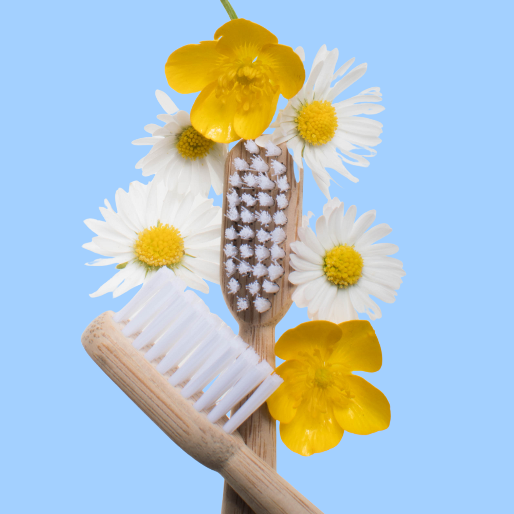 MABLE bamboo toothbrush, non-toxic bristles, BPA free bristles, non toxic bamboo toothbrush, healthy toothbrush, safe ingredients
