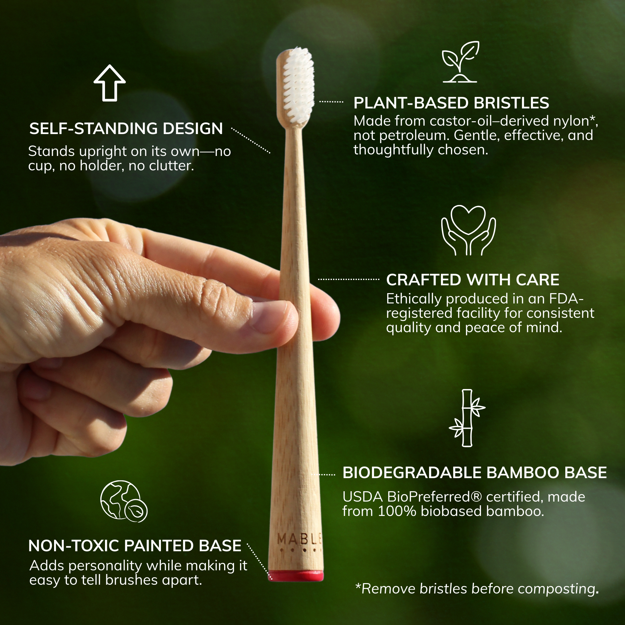 Hand holding a MABLE bamboo toothbrush with green background and text highlighting features like self standing design, plant-based bristles, crafted with care, biodegradable bamboo, non-toxic painted base