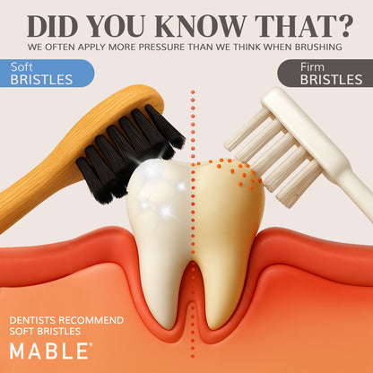Comparison of soft bristles and firm bristles on a toothbrush with a dental illustration, emphasizing the importance of soft bristles. highlights MABLE bamboo toothbrush heads with soft bristles being the best toothbrush 