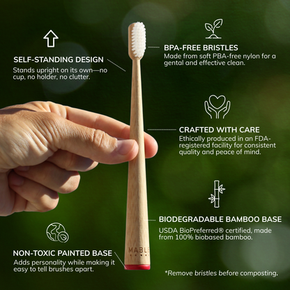 Hand holding a MABLE bamboo toothbrush with features highlighted on a green background, the best self-stending brush, biodegradable bamboo base, non-toxic paint, BPA-free bristels
